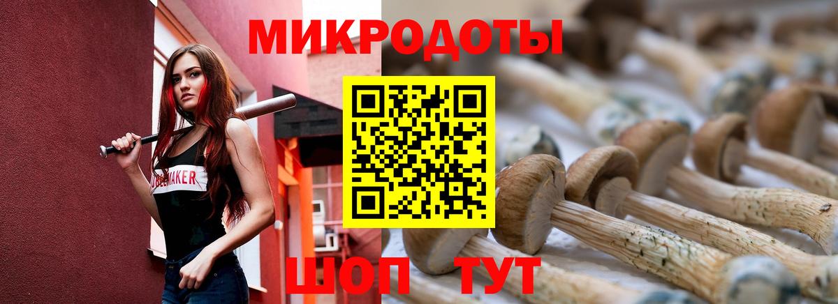 Галлюциногенные грибы прущие грибы  Галлюциногенные грибы мицелий  Вход с VPN  наркотики  Евпатория 
